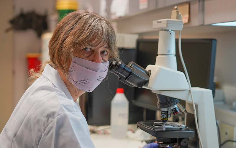 Cáncer Con Ciencia